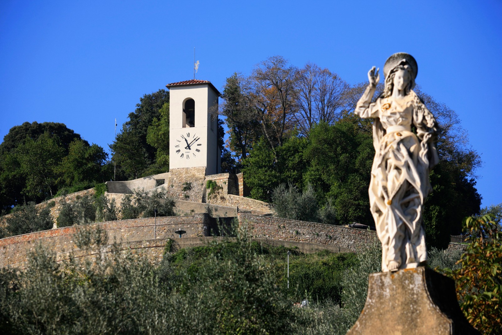 FABRIZIO PRATESI SOCIETA' AGRICOLA S.S. — foto 3